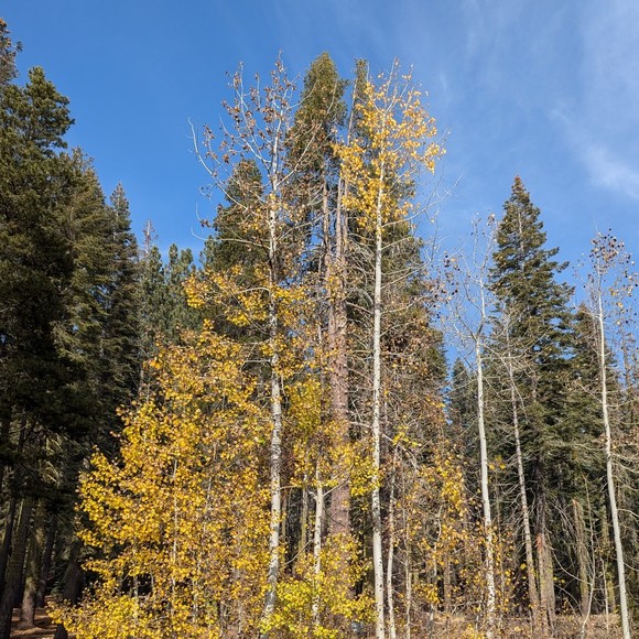 Meet your Posher, Megan - Picture 1 of 1